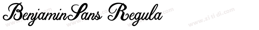 BenjaminSans Regula字体转换